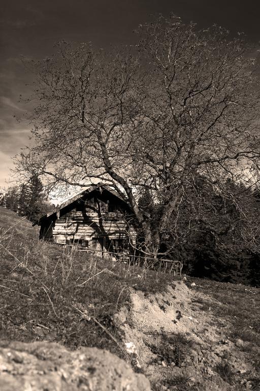 Guest house Fischerstueberl